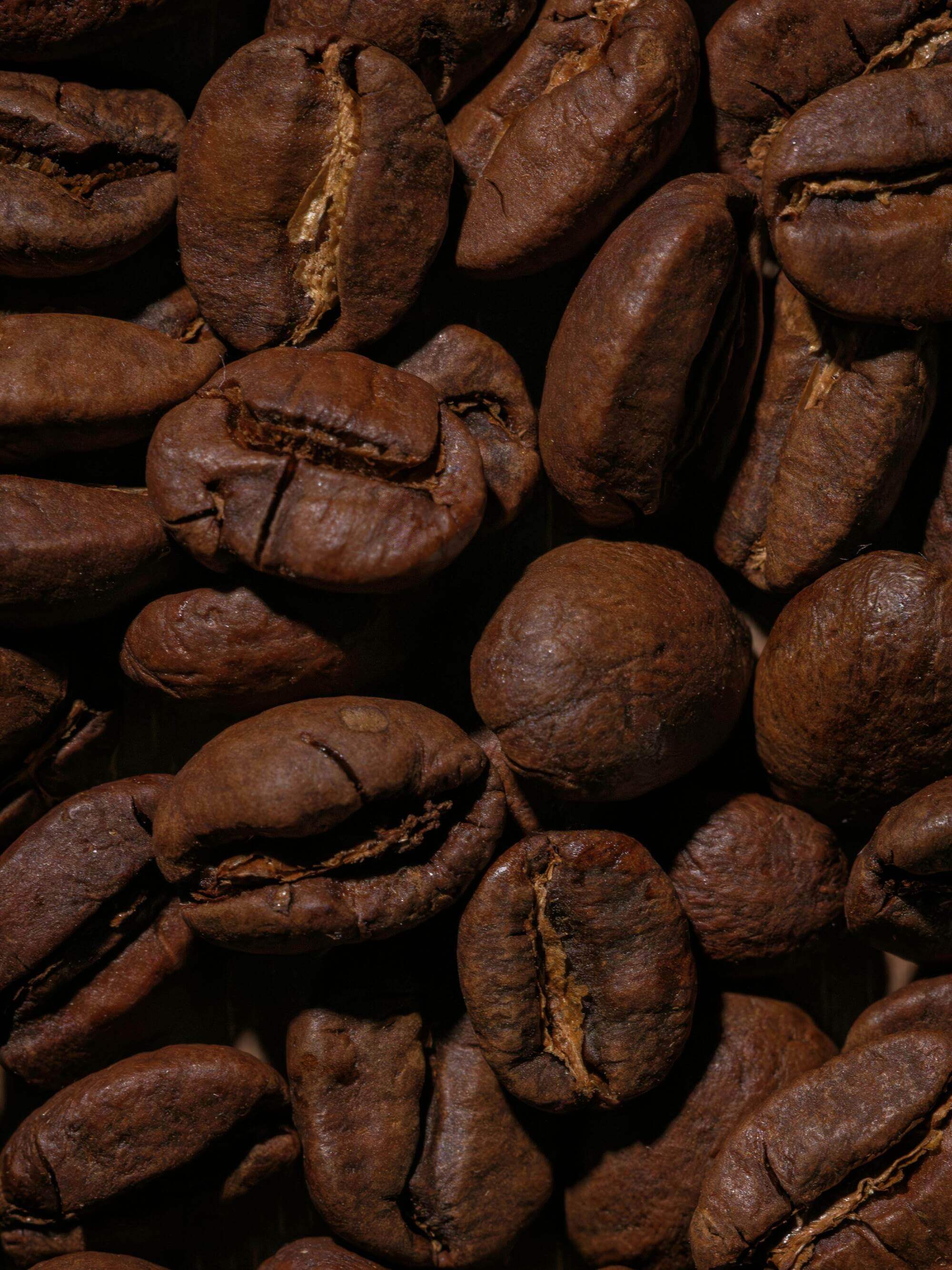 Whole Bean
