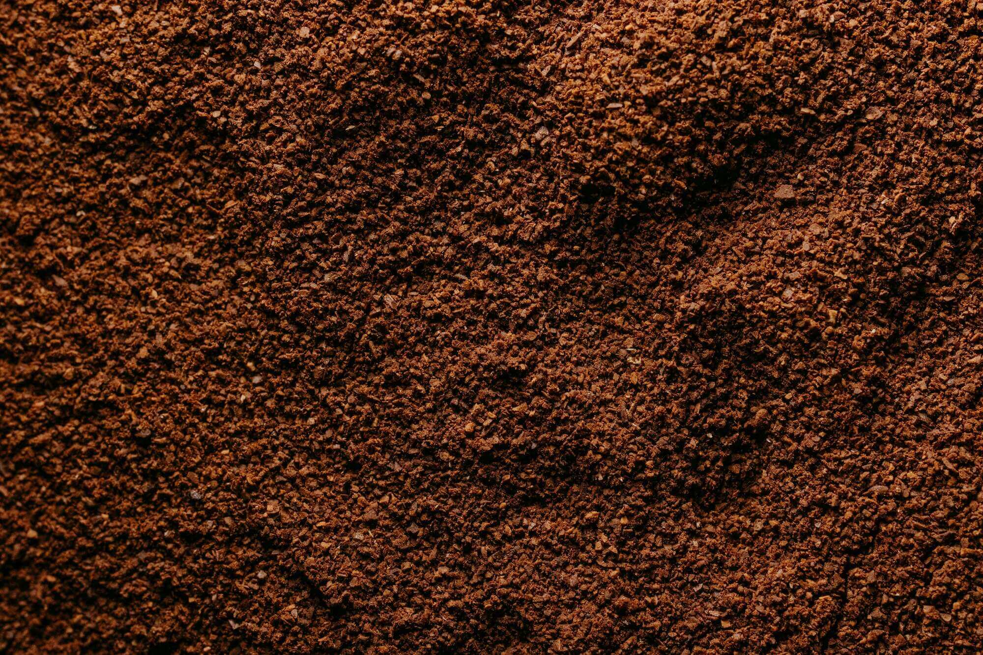 Ground