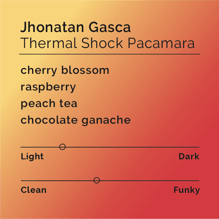 Jhonatan Gasca - Thermal Shock Pacamara