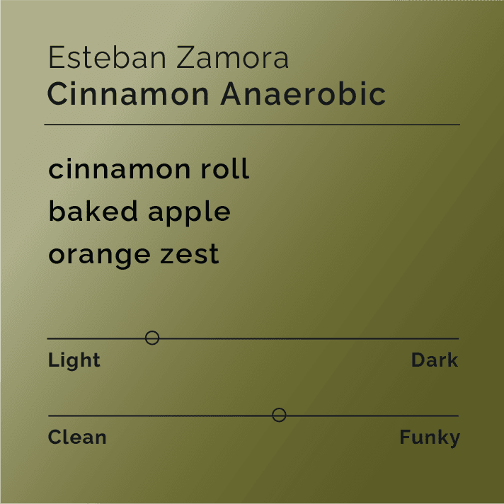 Esteban Zamora - Cinnamon Anaerobic