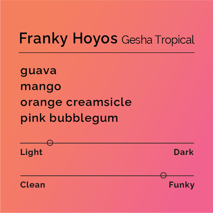 Franky Hoyos - Gesha Tropical