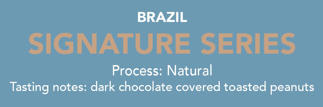 Dose - Brazil Signature Series