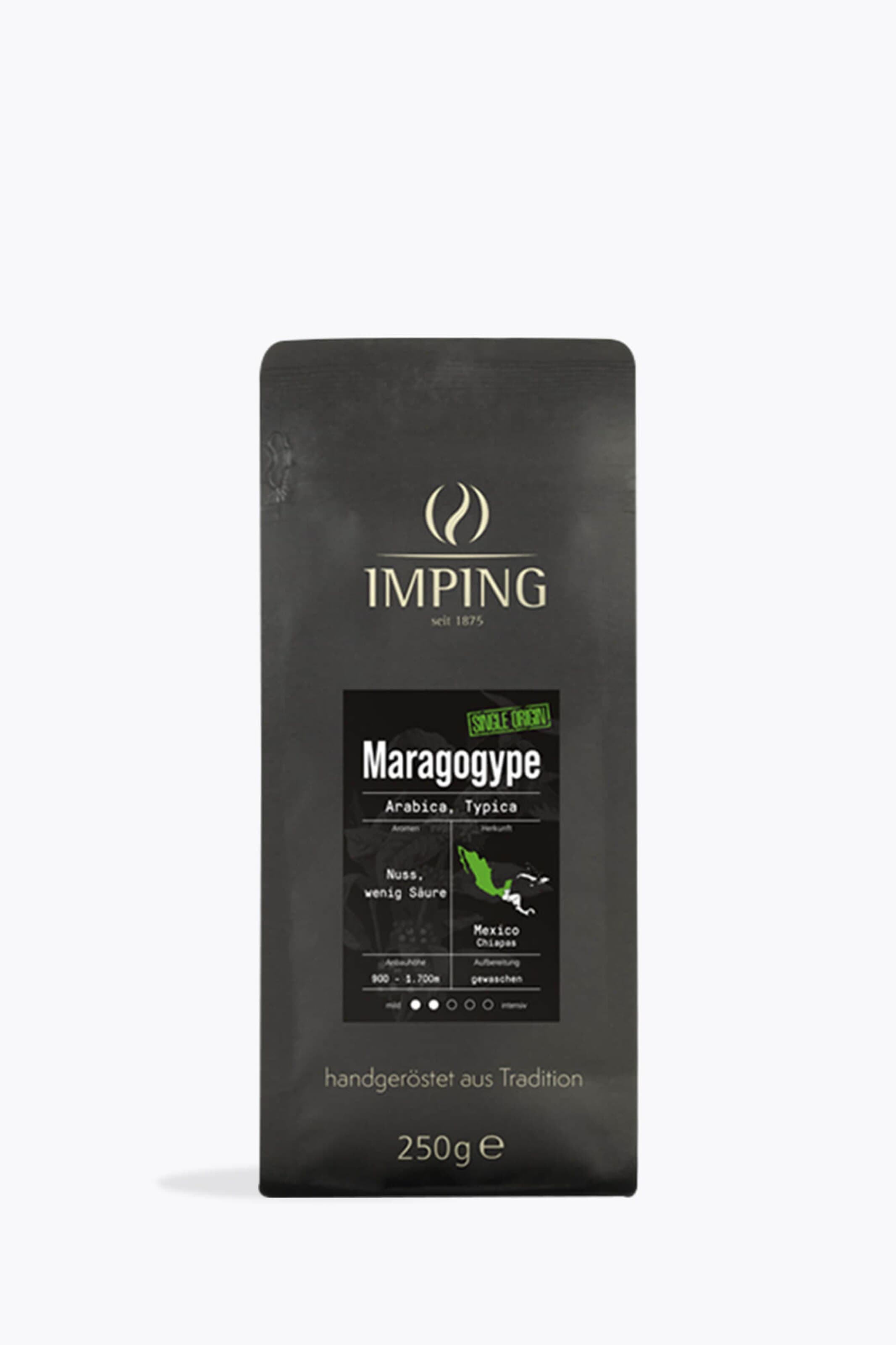 Imping Maragogype