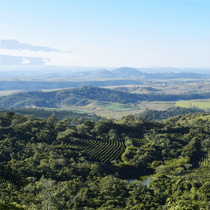 Brazil Fazenda Lagoa