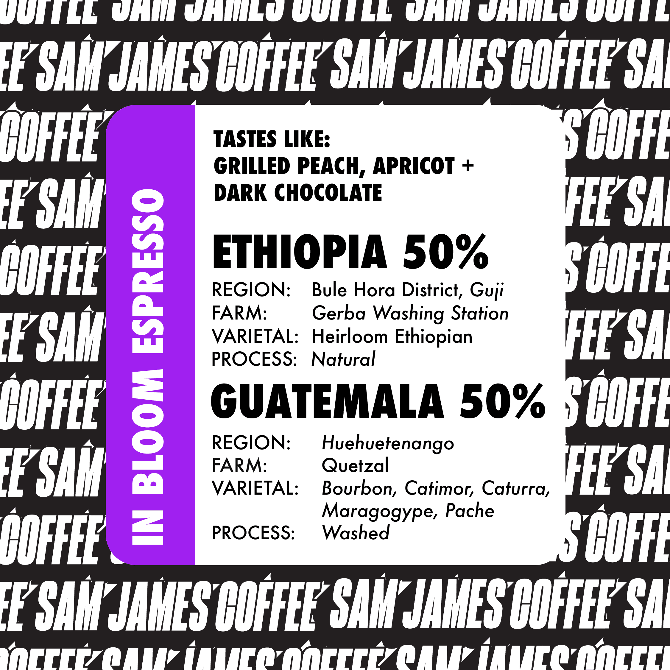 Espresso In Bloom: Ethiopia + Guatemala