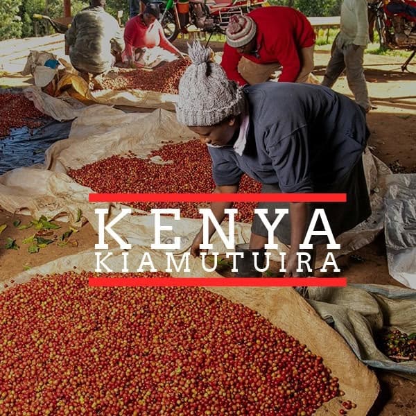 KENYA – Kiamutuira