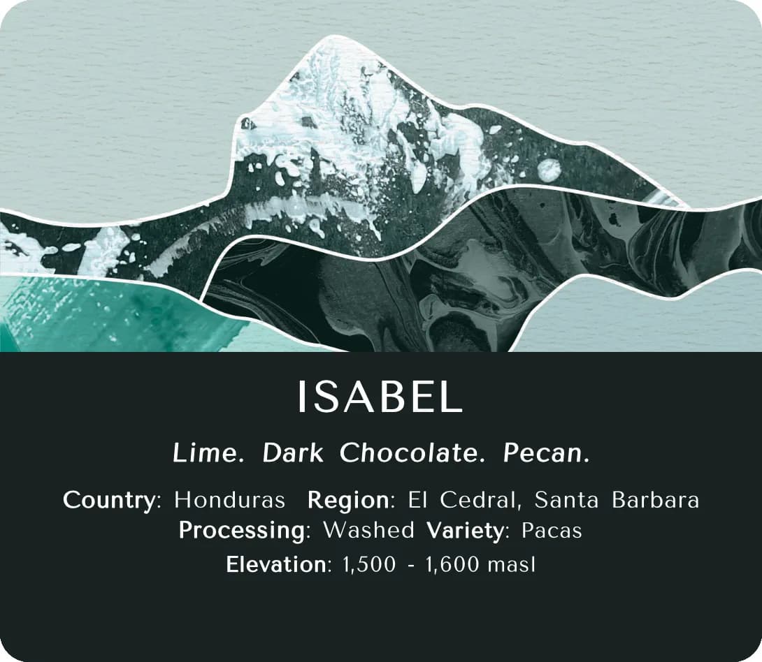 Isabel (Washed)- Honduras
