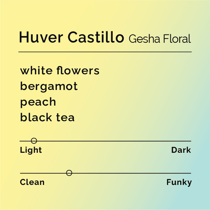 Huver Castillo - Gesha Floral