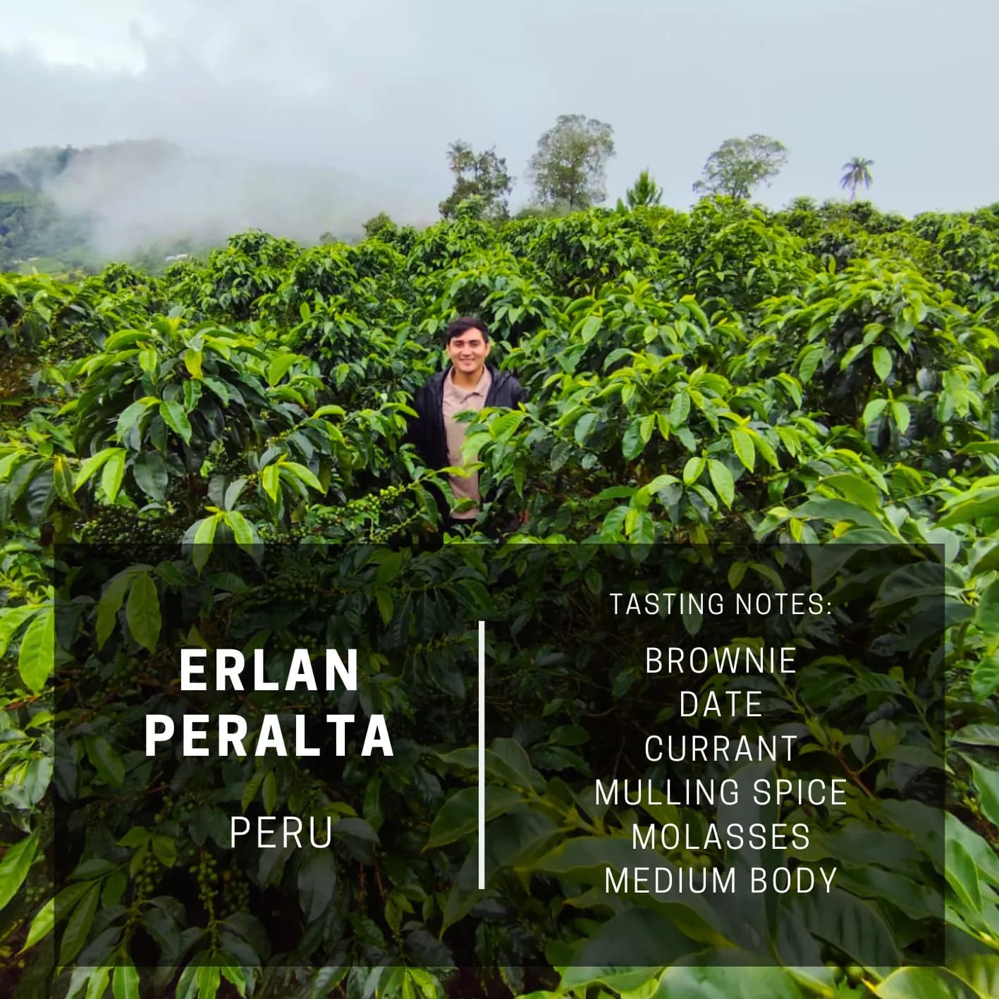 Peru Erlan Peralta