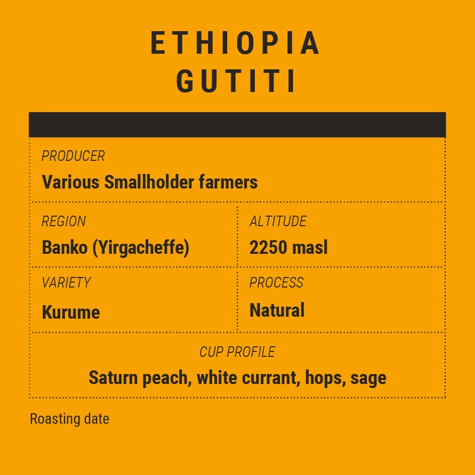 Ethiopia Gutiti