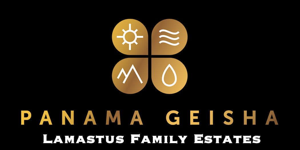 Panama Geisha - Elida Estate Geisha Natural