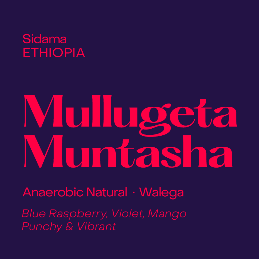Ethiopia Mullugeta Muntasha, Anaerobic Natural Walega