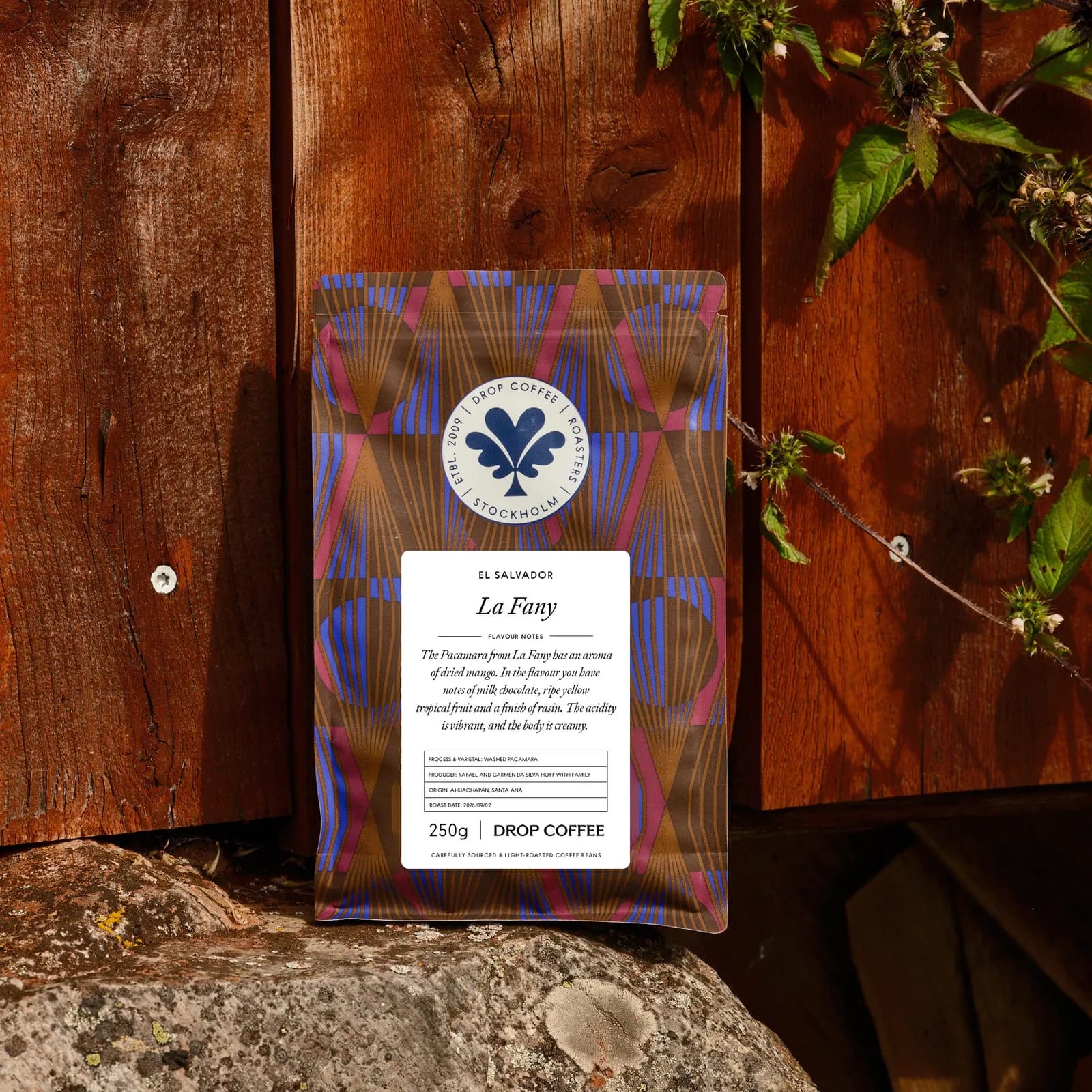 La Fany, Washed Pacamara, El Salvador