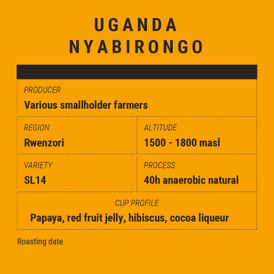 Uganda Nyabirongo