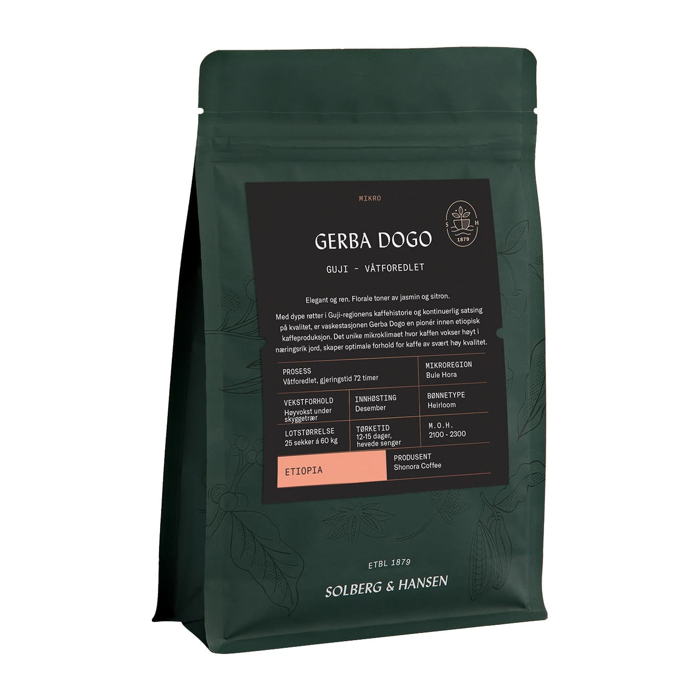 Ethiopia Guji Gerba Dogo Washed Filter