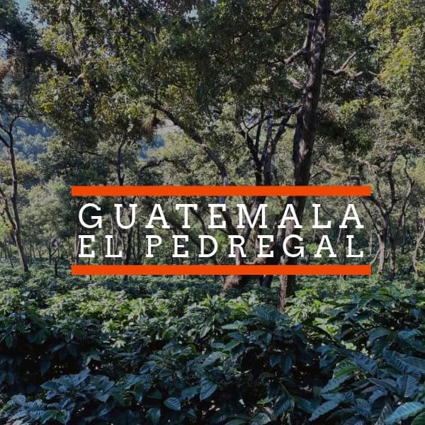 Guatemala El Pedregal