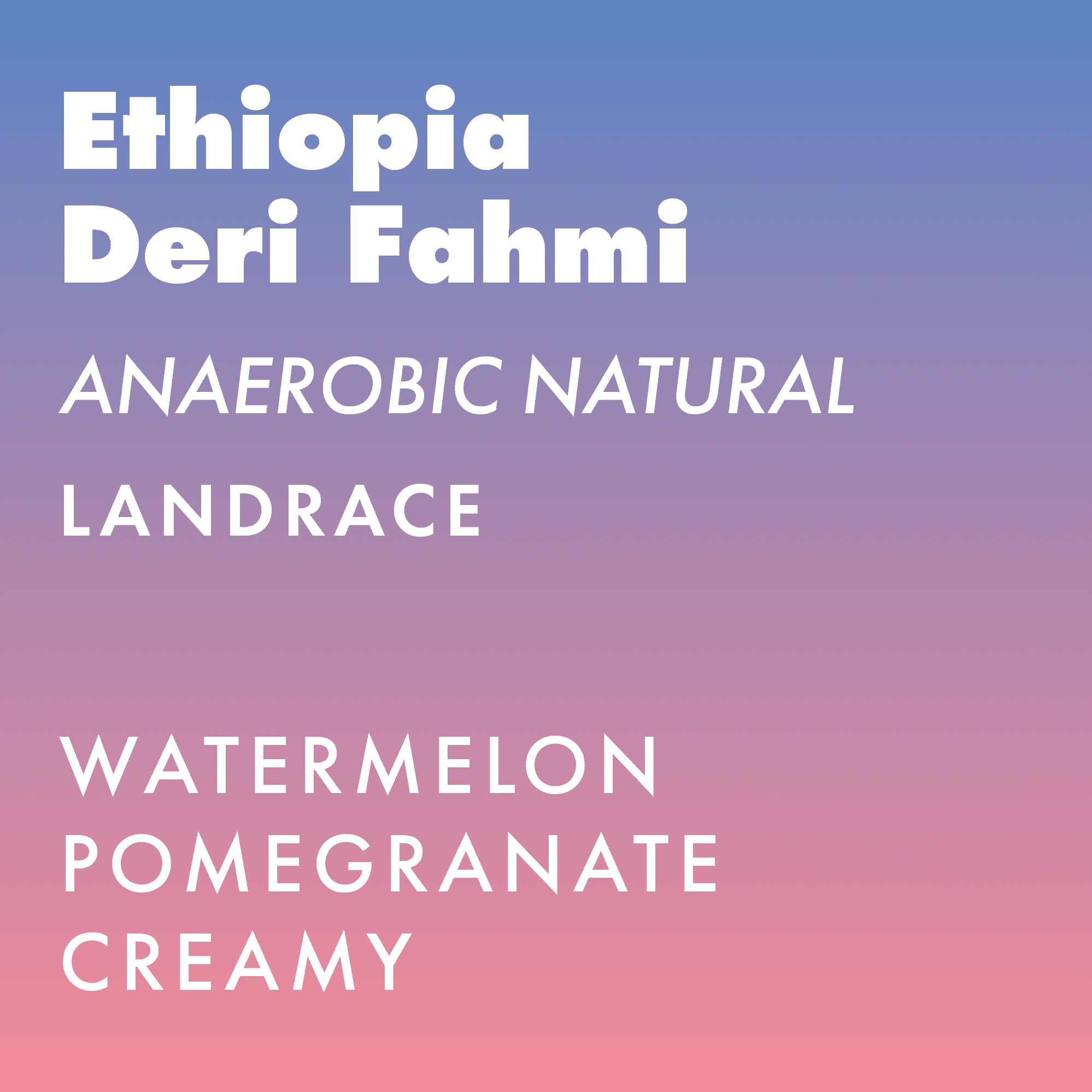 Ethiopia Deri Fahmi