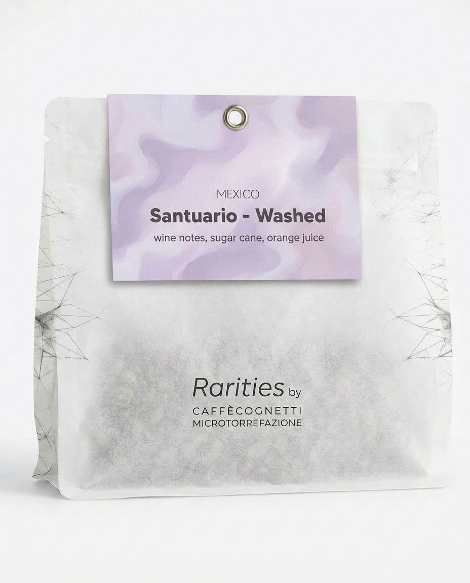 Santuario – Mexico Washed