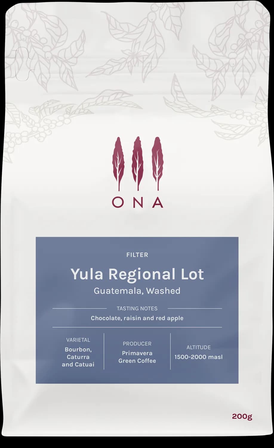 Yula Regional Lot, Guatemala, Washed