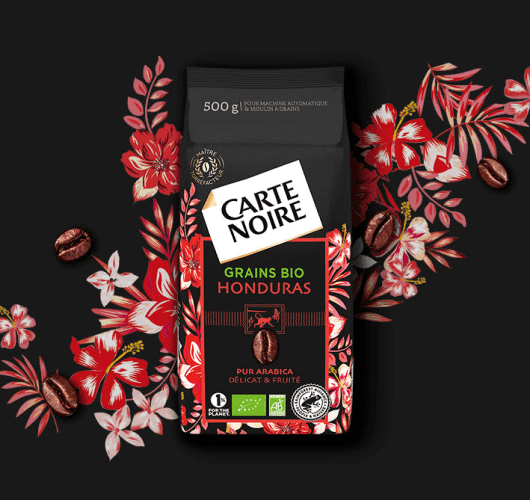 Secrets d'Origine Honduras Bio