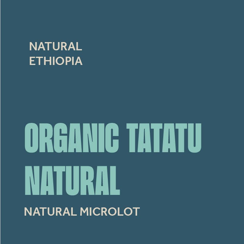Ethiopia Organic Tatatu
