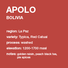 **NEW** BOLIVIA Apolo