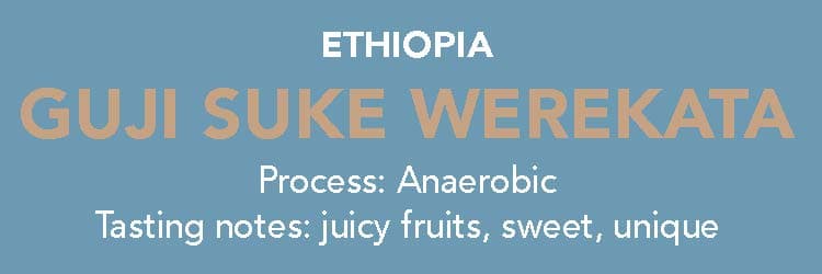 Dose - Ethiopia, Guji Suke Werekata