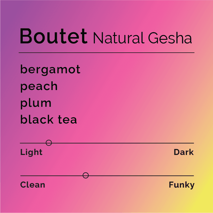 Boutet - Natural Gesha