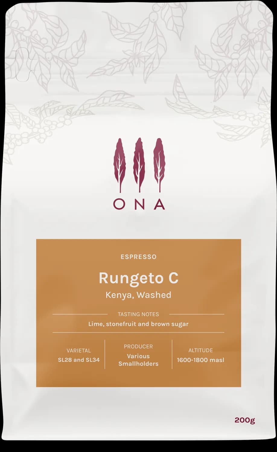 Rungeto C, Kenya, Washed
