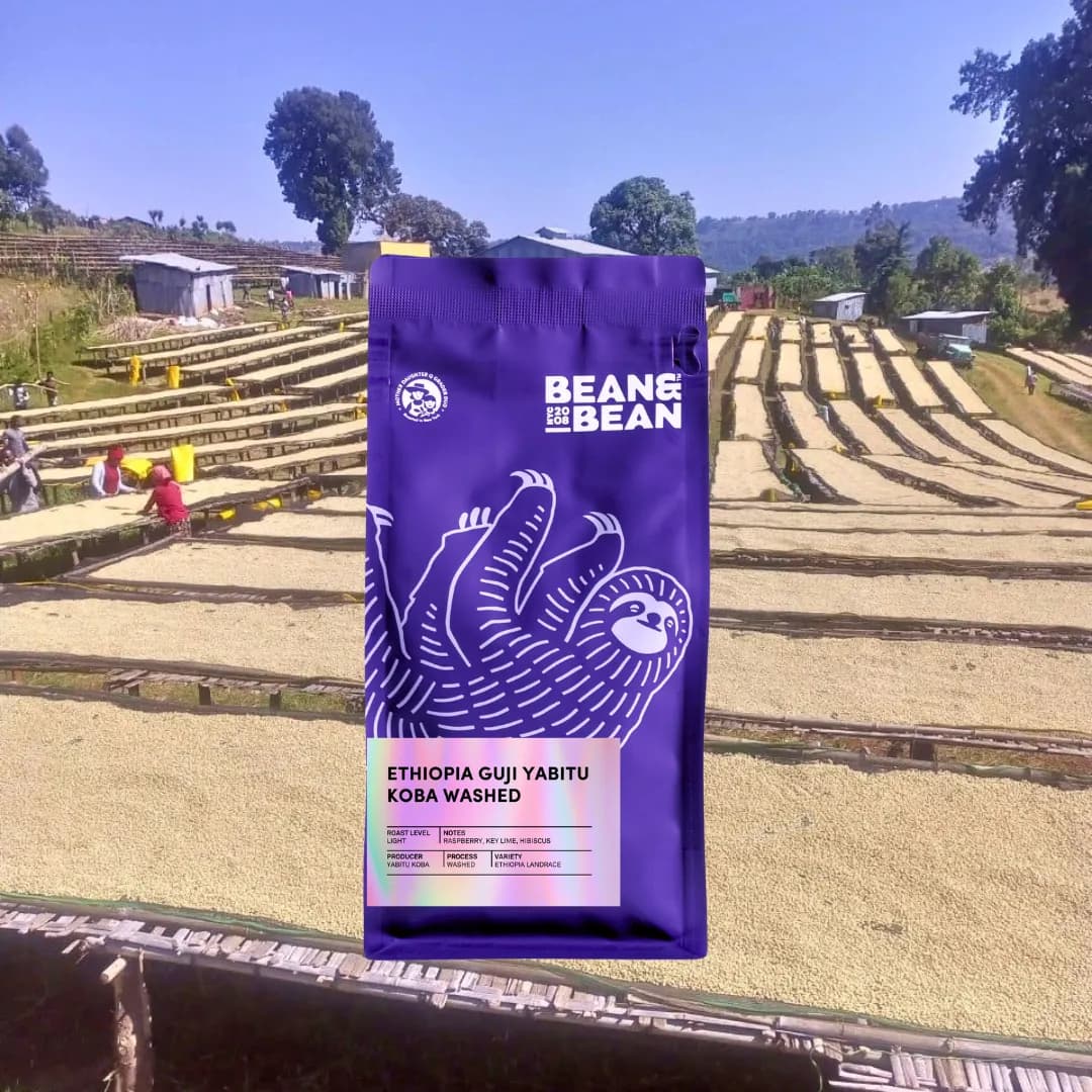 Ethiopia Guji Yabitu Koba Washed