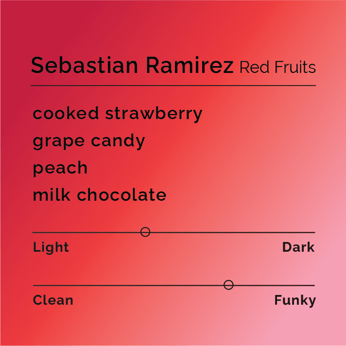 Sebastian Ramirez - Red Fruits