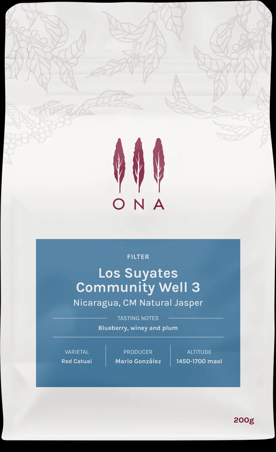 Los Suyates Community Well 3, Nicaragua, CM Natural Jasper