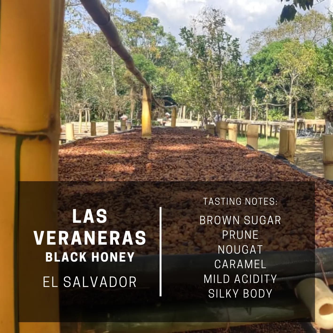 El Salvador Las Veraneras Black Honey