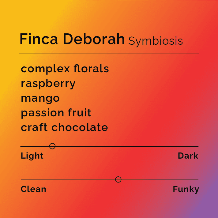 Finca Deborah - Symbiosis