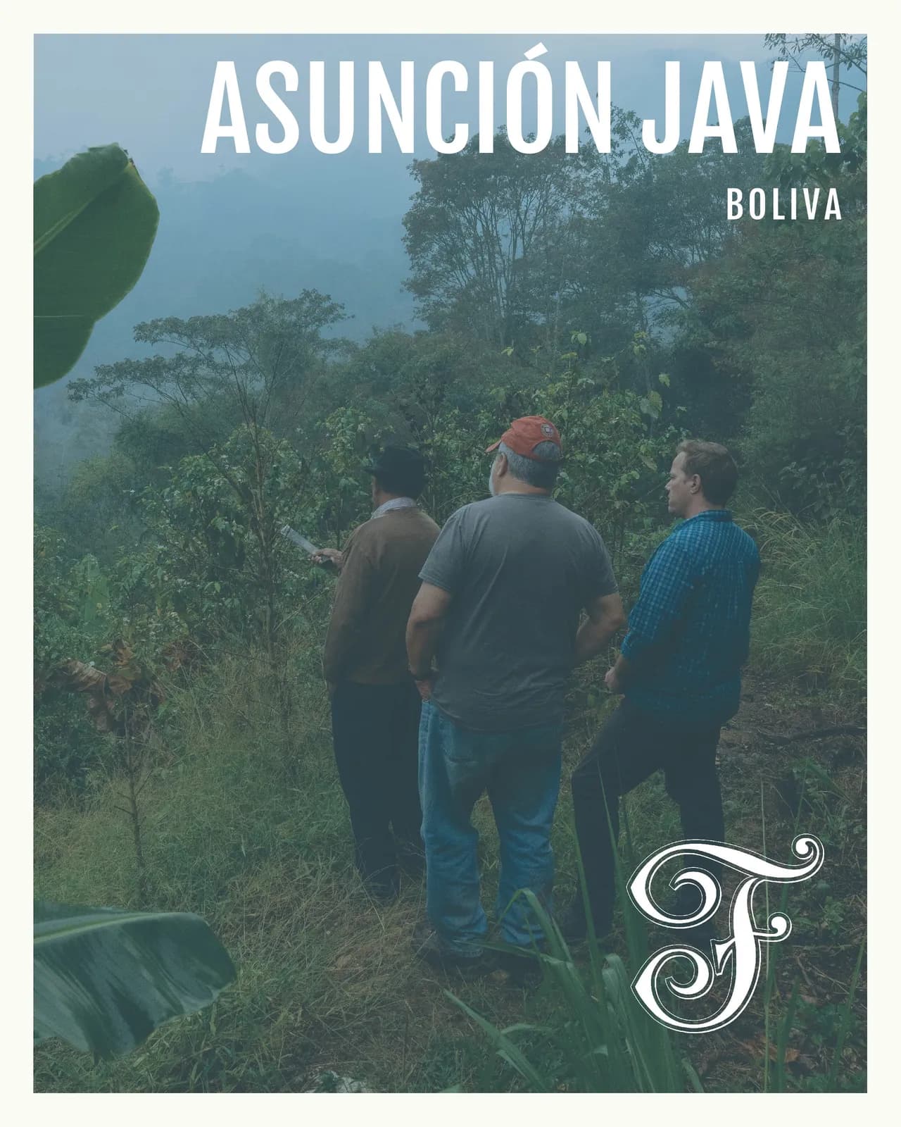 Bolivia Asunción Java