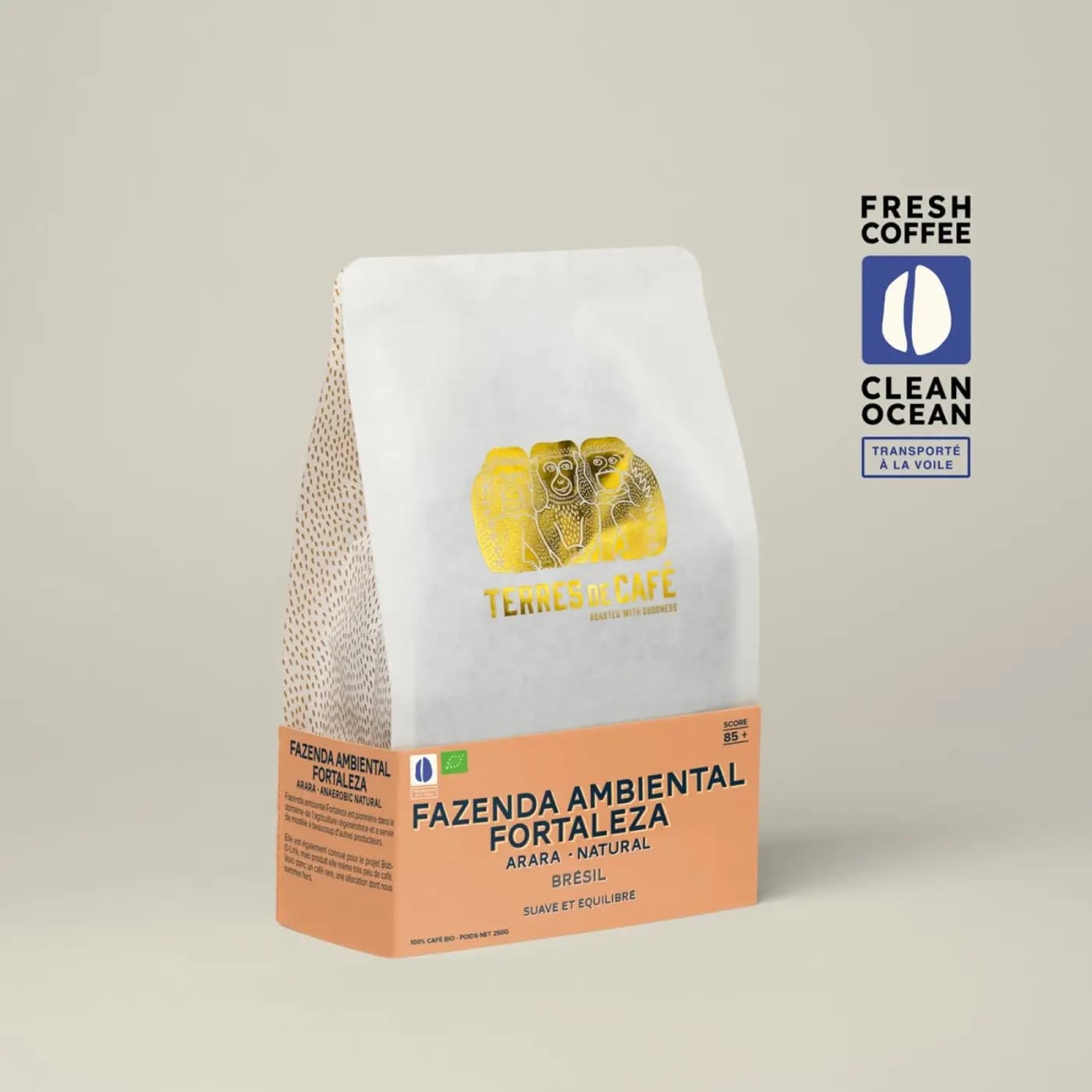 Coffee Fazendas Ambiental Fortaleza Arara Natural Bio