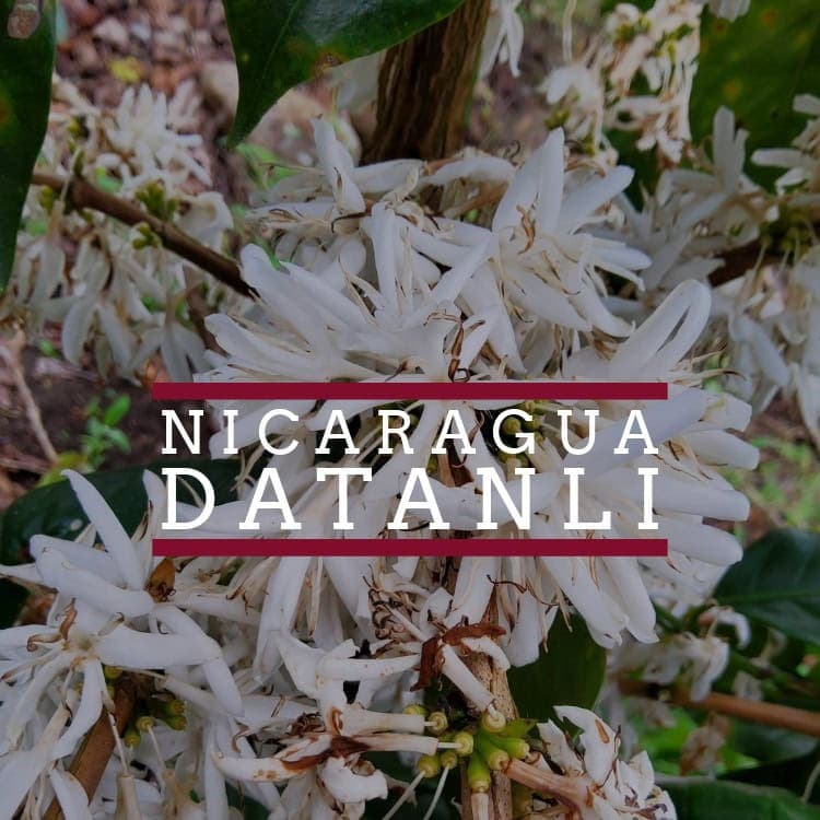 Nicaragua–Datanli