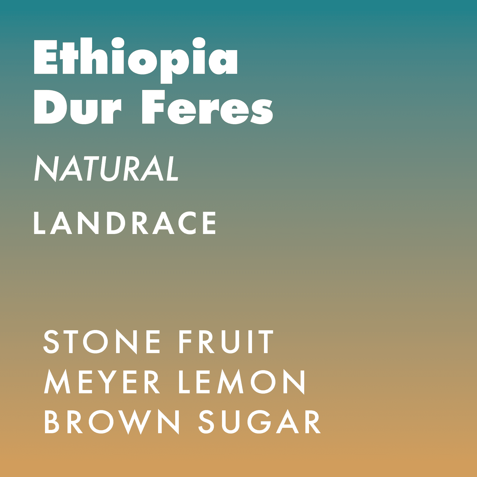 Ethiopia Dur Feres