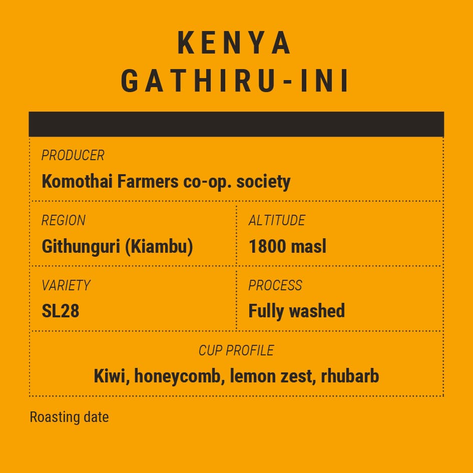 Kenya Gathiru-Ini