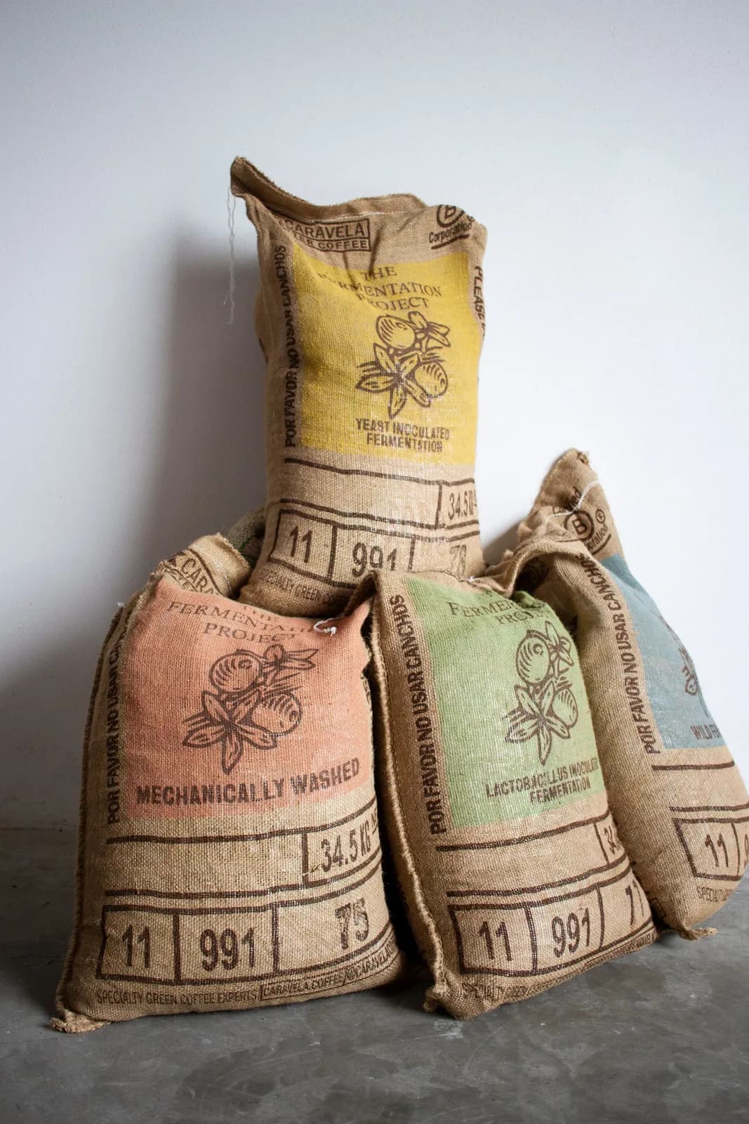 Guatemala | The Fermentation Project | For Cupping and Filter Brewing