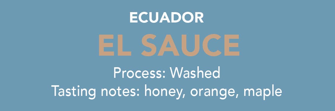 Dose - Ecuador El Sauce