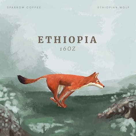 Ethiopia Ginbo Wush Wush Natural