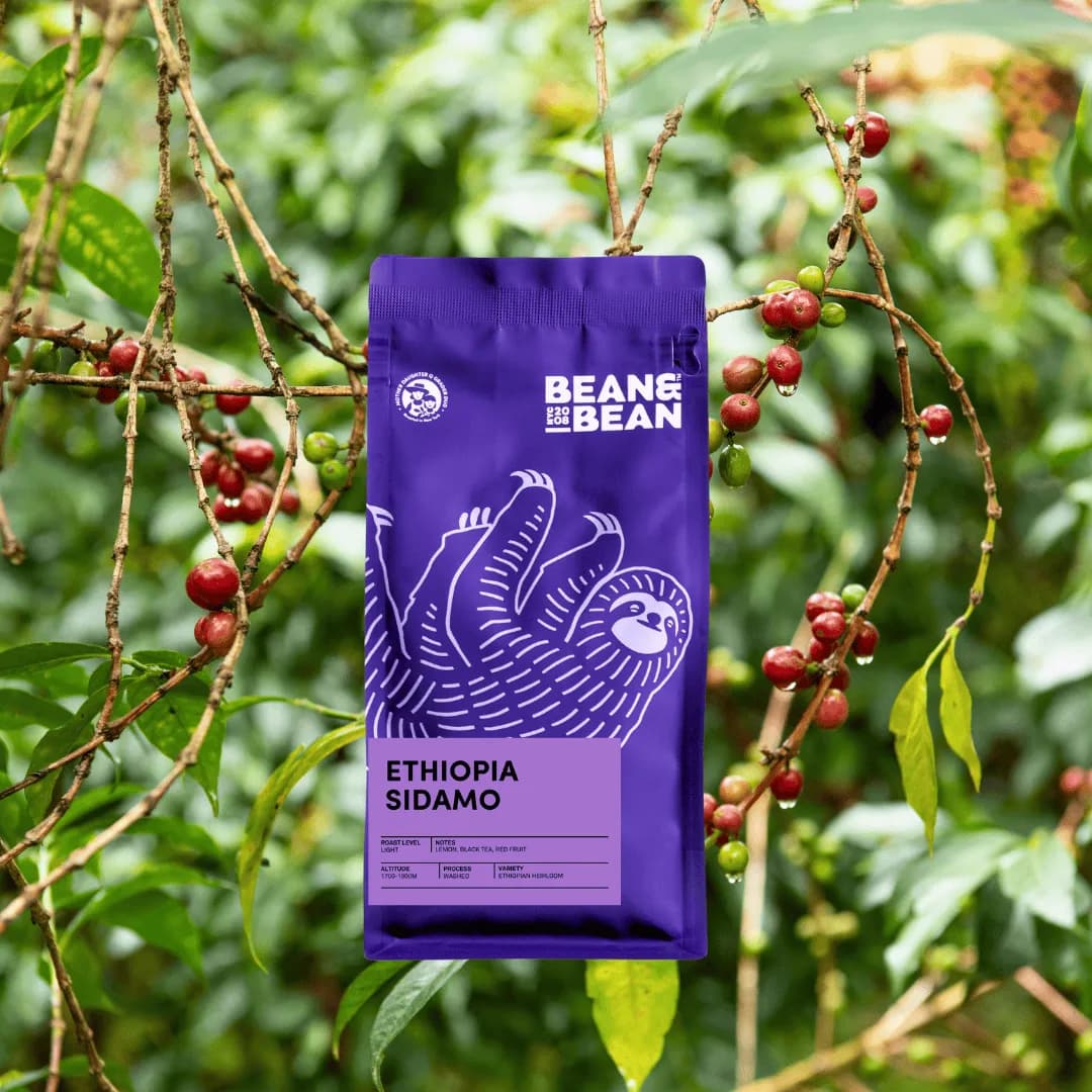 Ethiopia Sidamo