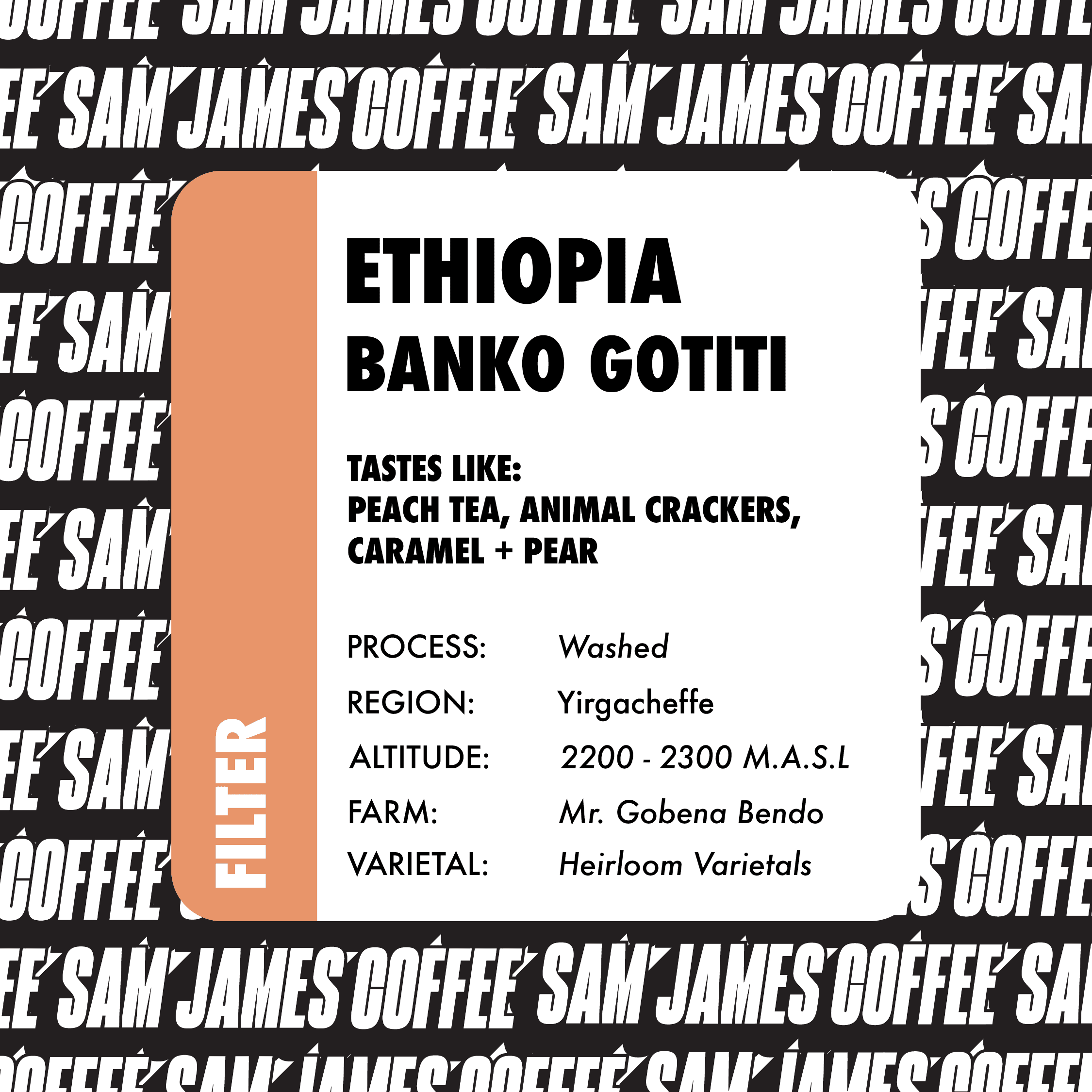 Ethiopia: Banko Gotiti