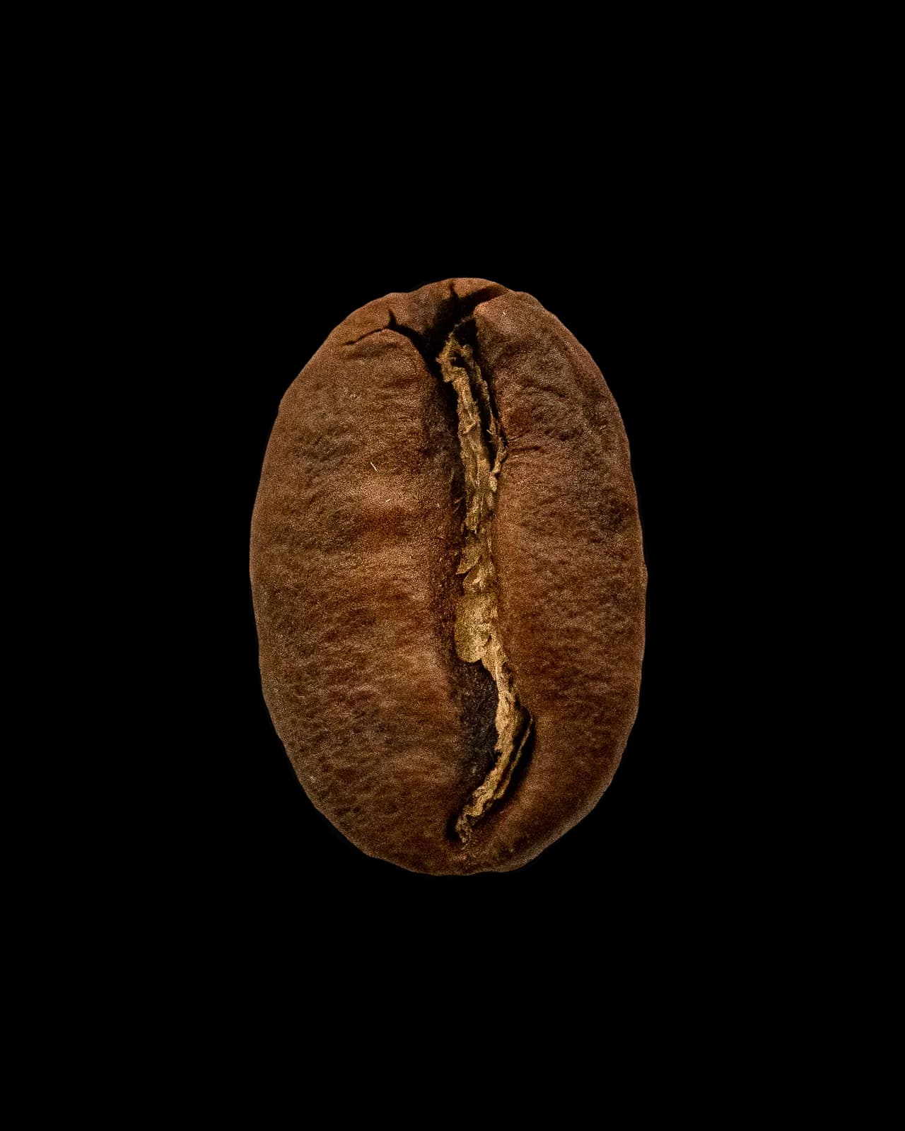 Colombia, Campo Amor