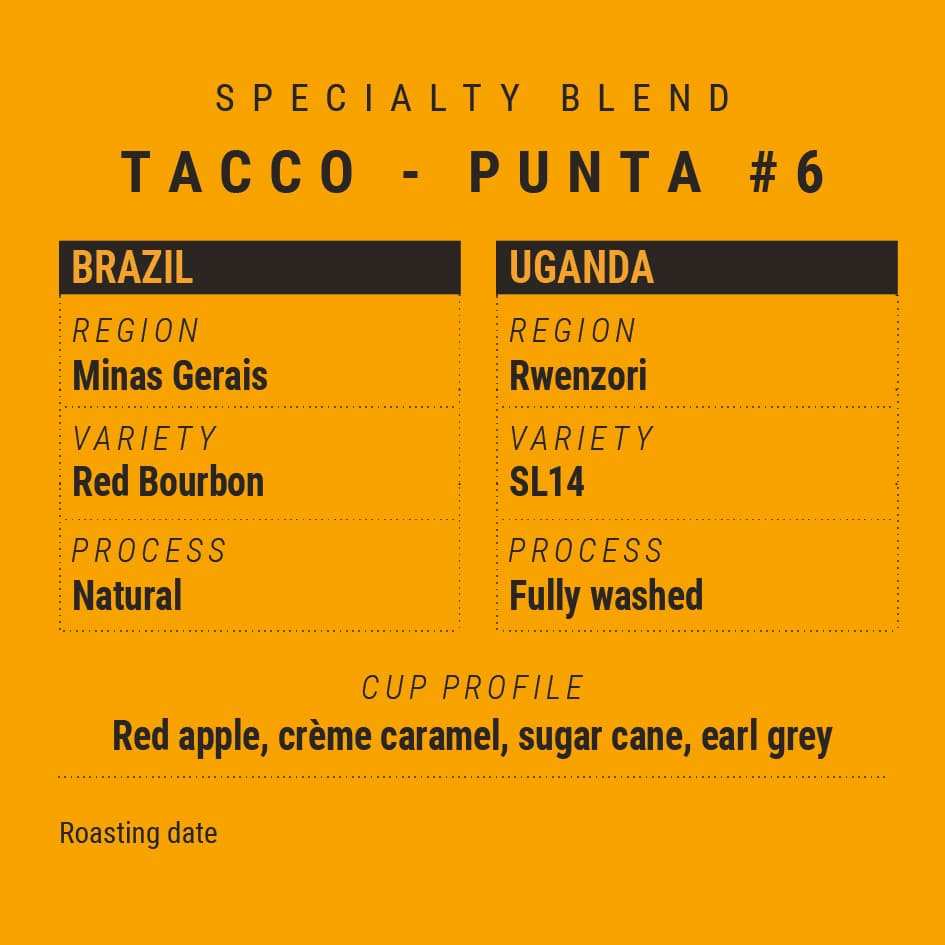 Tacco/Punta #6 Specialty Blend