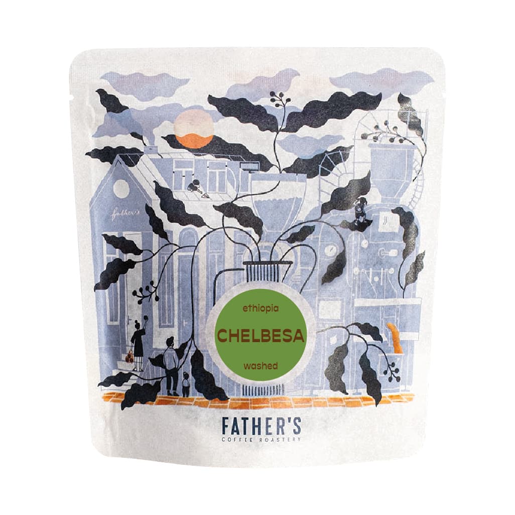 Ethiopia Chelbesa Washed Filter