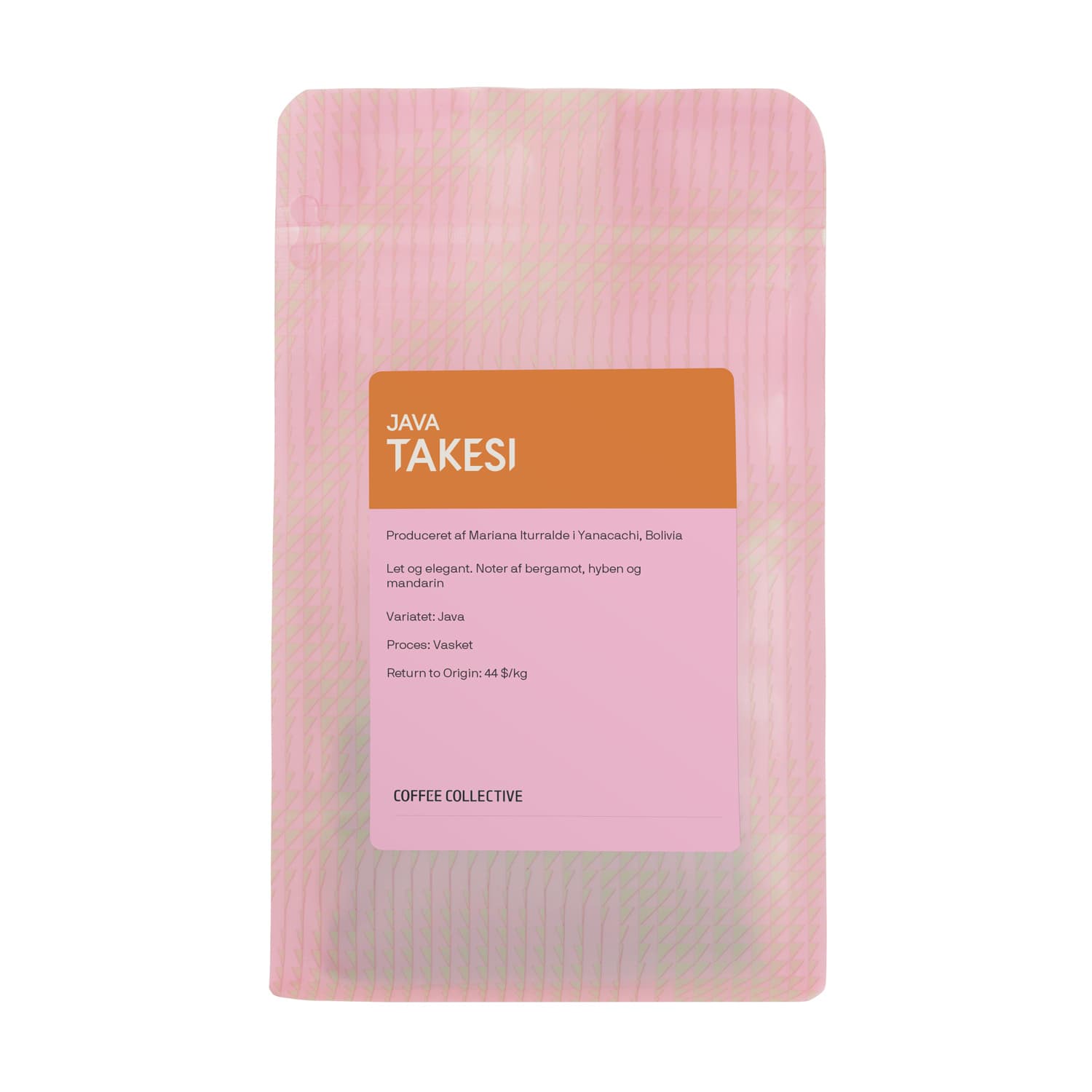 Bolivia Takesi Java Washed Filter