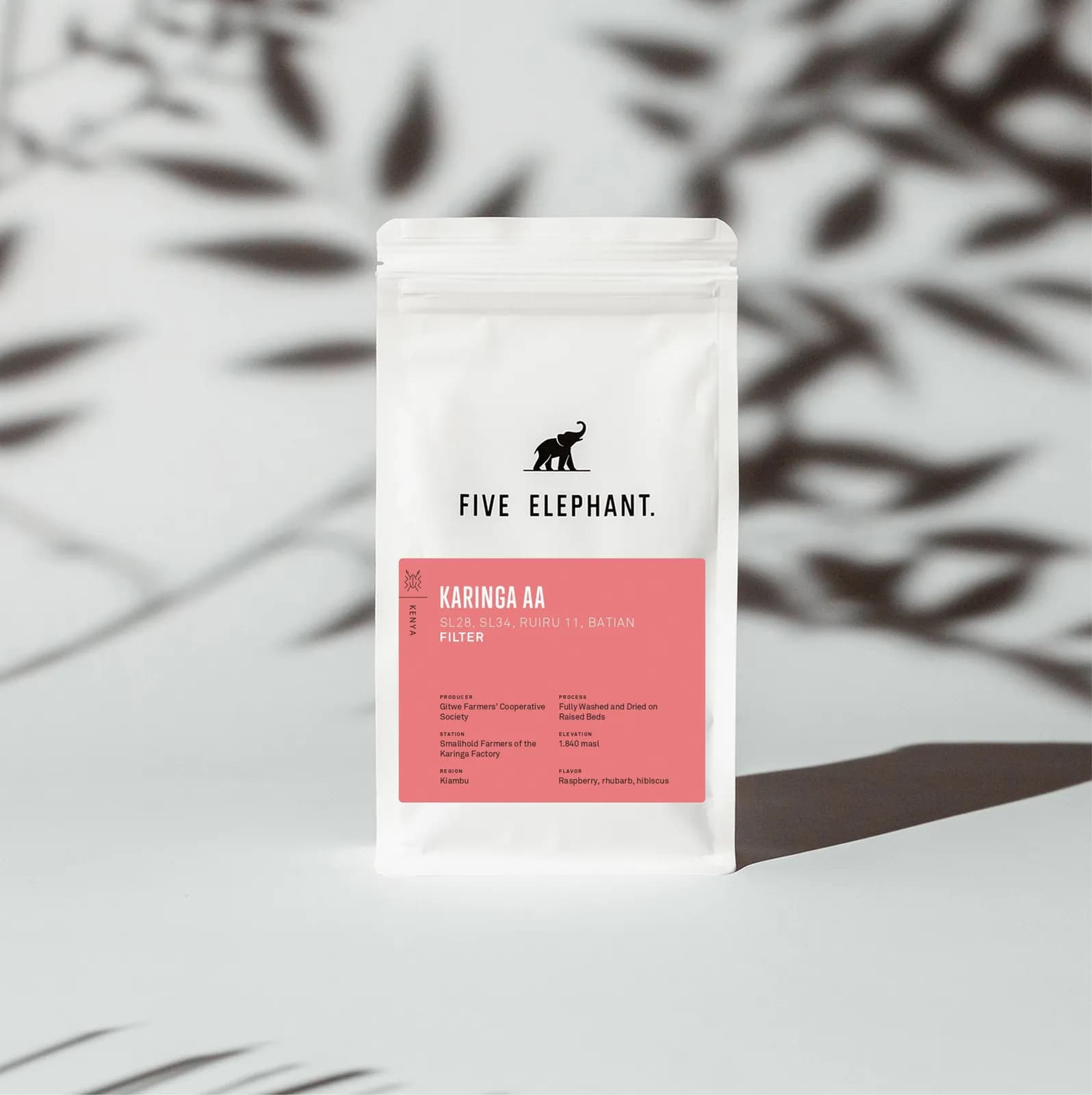 KENYA Karinga AA