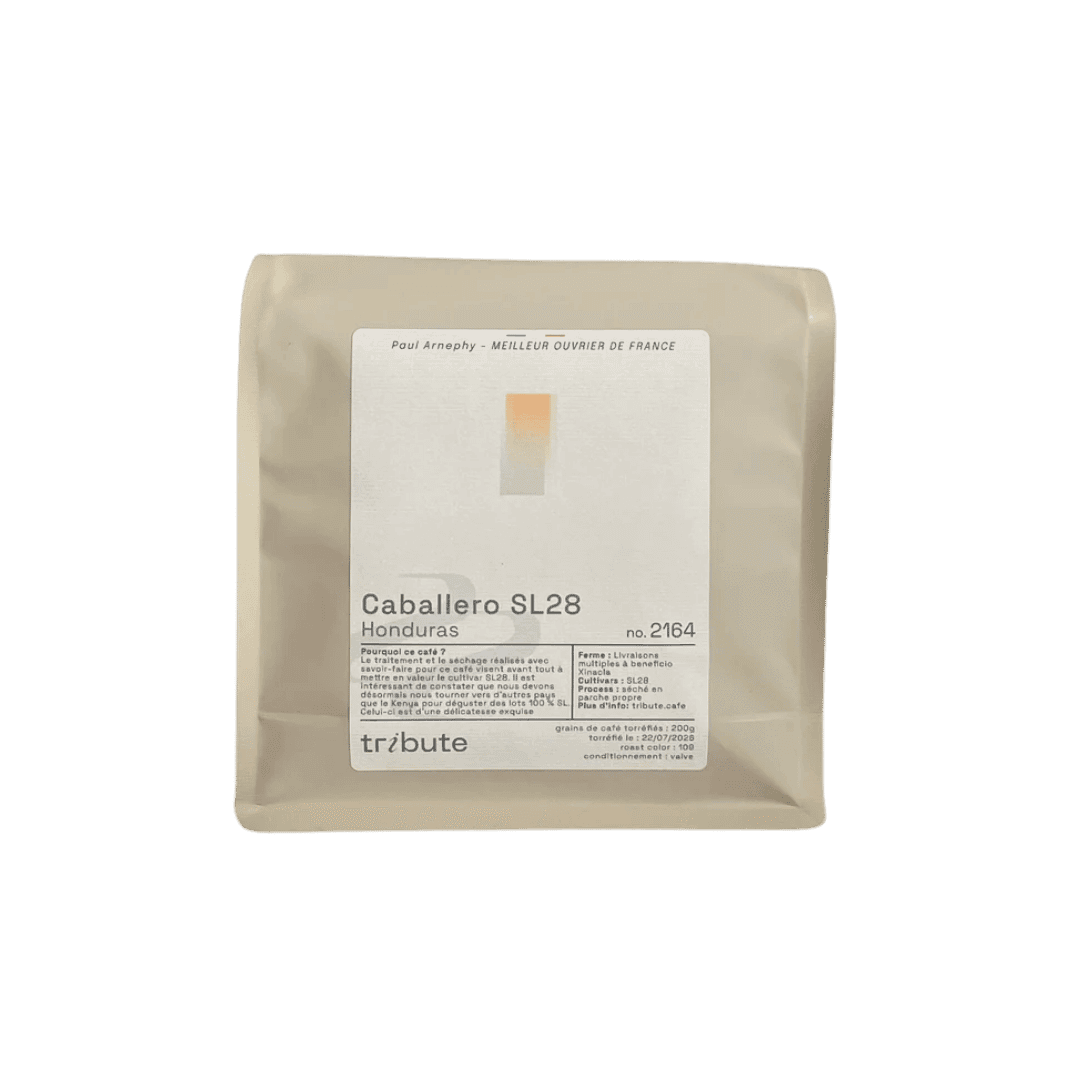 Caballero SL28 - Honduras